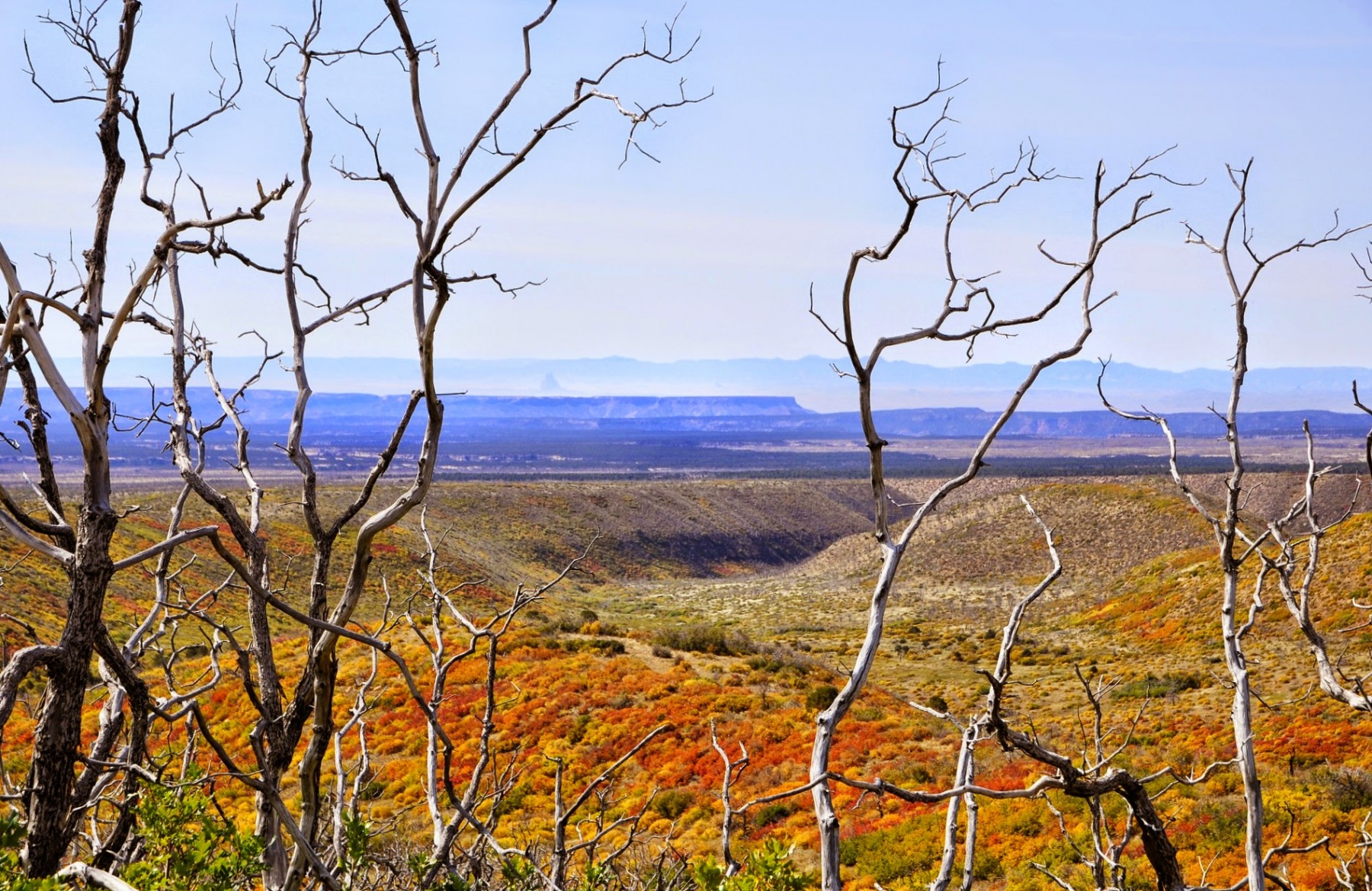 Kolorado - Park narodowy Mesa Verde