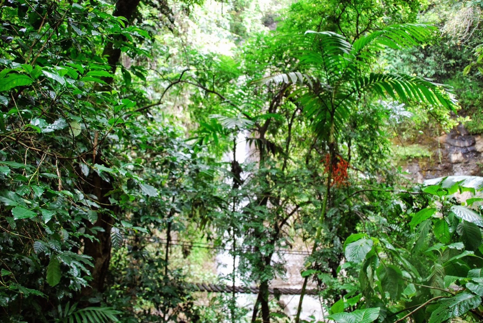 Gwatemala - Panajachel - Reserva Natural de Atitlan