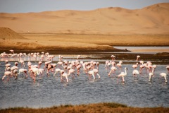 Walvis Bay