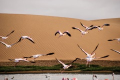 Walvis Bay