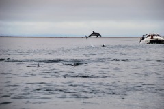 Walvis Bay