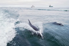 Walvis Bay
