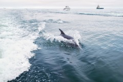 Walvis Bay