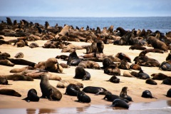 Walvis Bay