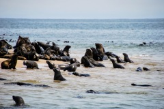 Walvis Bay