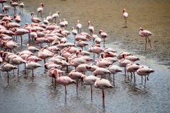 Walvis Bay