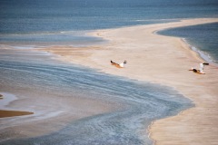 Walvis Bay