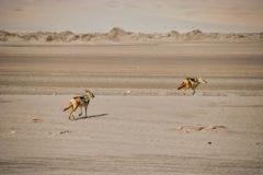 Walvis Bay