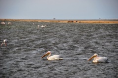 Walvis Bay