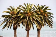 Swakopmund