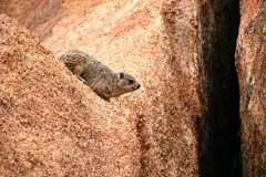 Spitzkoppe