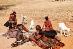 Himba