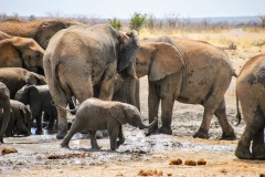 Etosha National Park