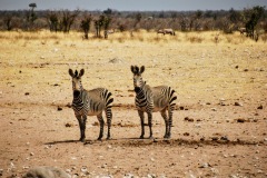 Etosha National Park