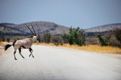 Etosha National Park