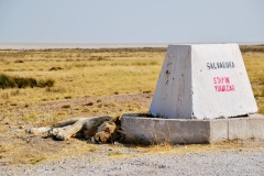 Etosha National Park