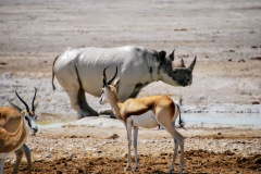 Etosha National Park