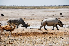Etosha National Park
