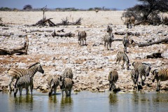 Etosha National Park