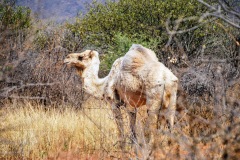 Waterberg