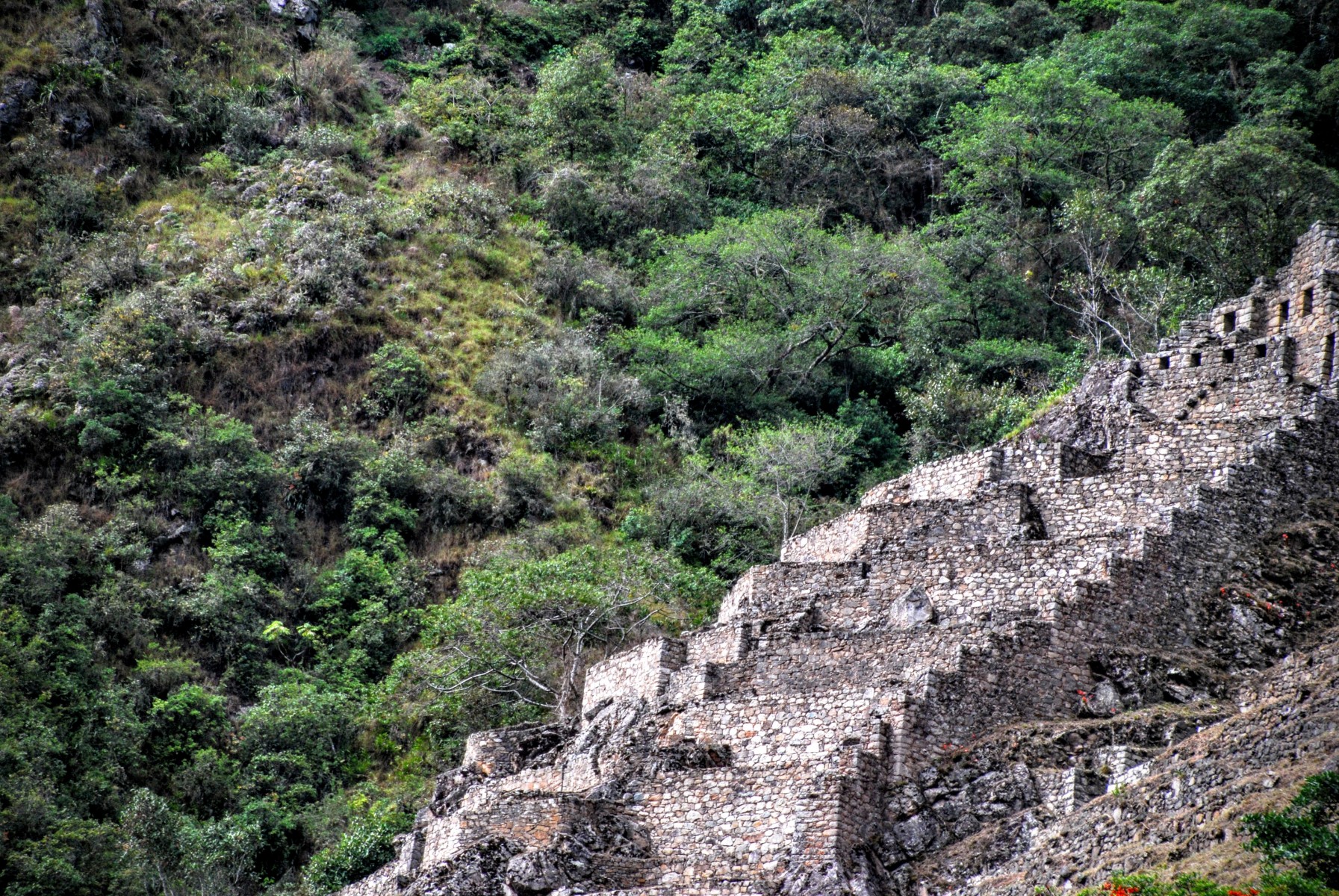 W drodze do Machu Picchu