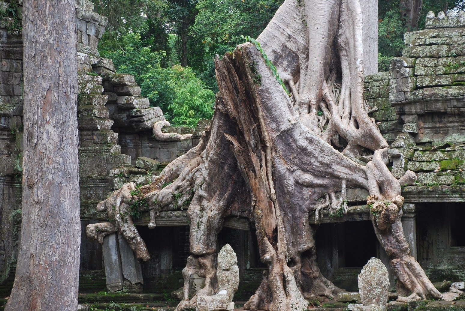 Kambodża - Angkor