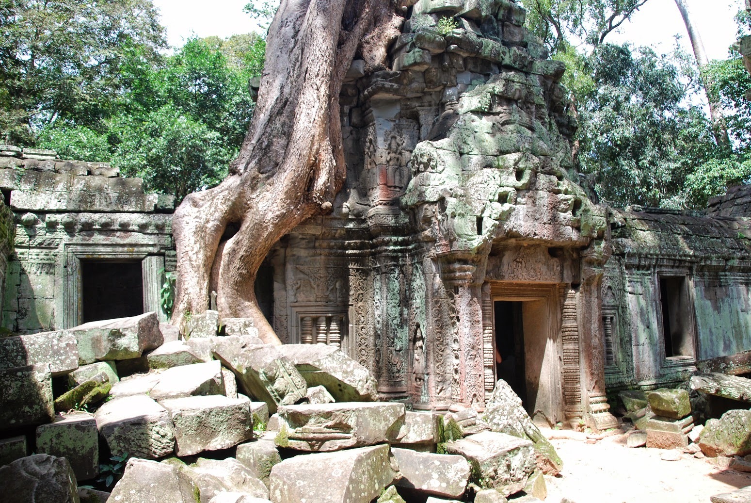 Kambodża - Angkor - Ta Prohm