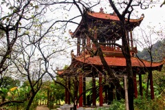 Pagoda Bich Dong